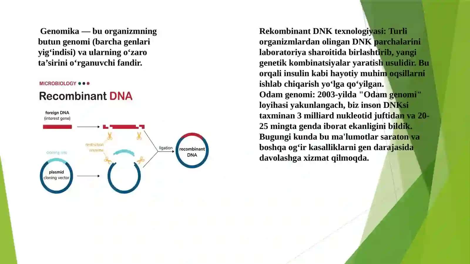 6-mavzu. Genomika tushunchasi va uning tarixi 2