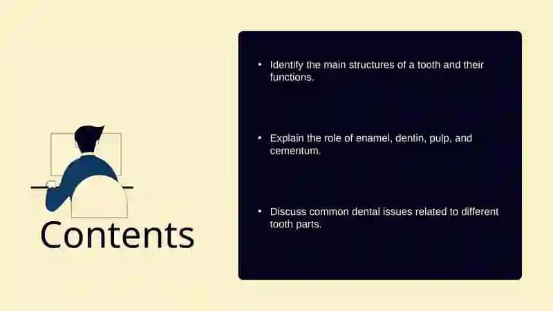 Parts of the tooth 2