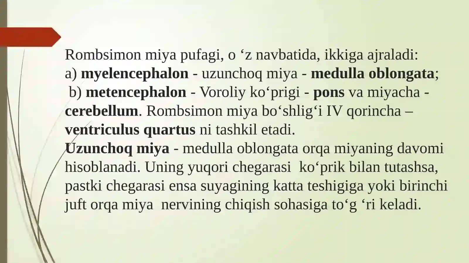 Uzunchoqmiya 2