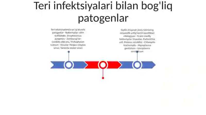 Teri Infeksiyalari va Qoʻzgʻatuvchilari 2