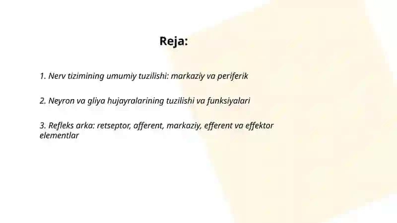 Nerv tizimi 2