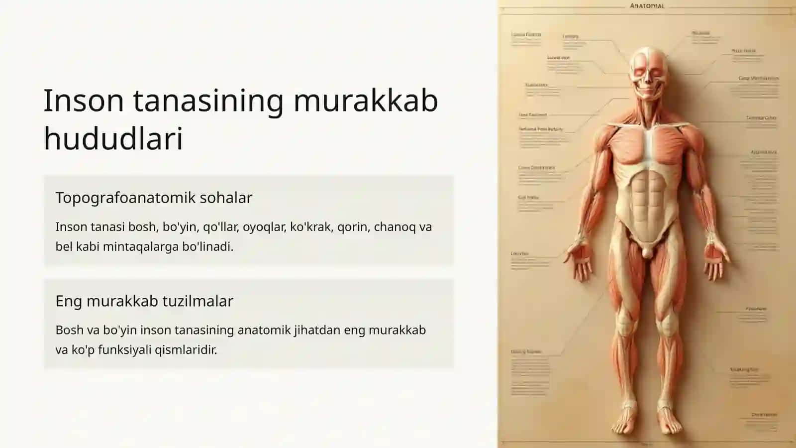 Inson tanasining murakkab hududlari 2