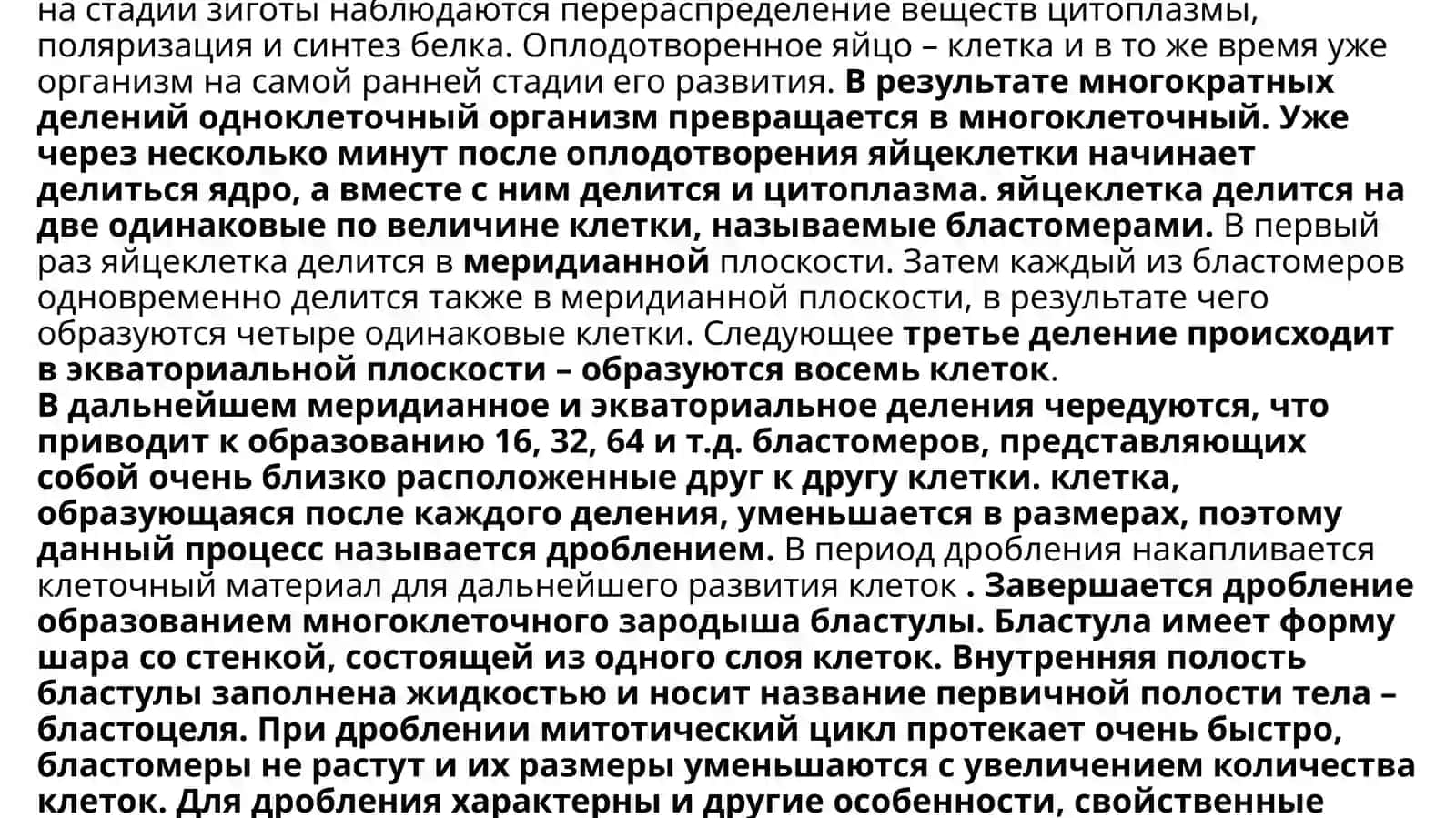 Эмбриональный период развития 2