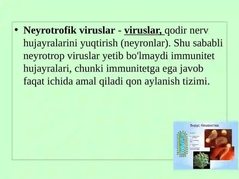 Neyroviruslar, poliomielit, quturish kasalliklari 2