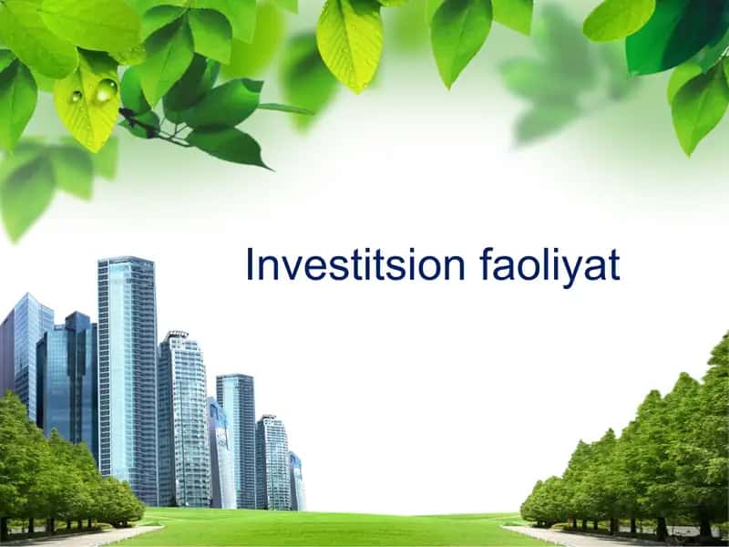 Investitsion faoliyat 2
