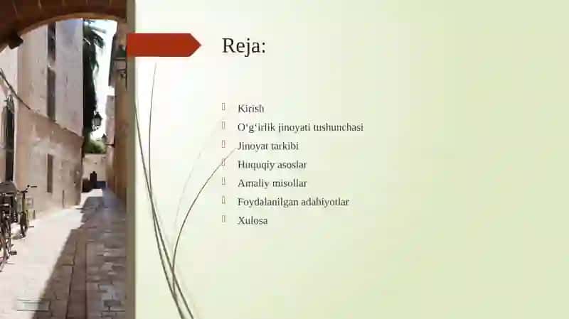 O‘g‘irlik jinoyati tushunchasi 2