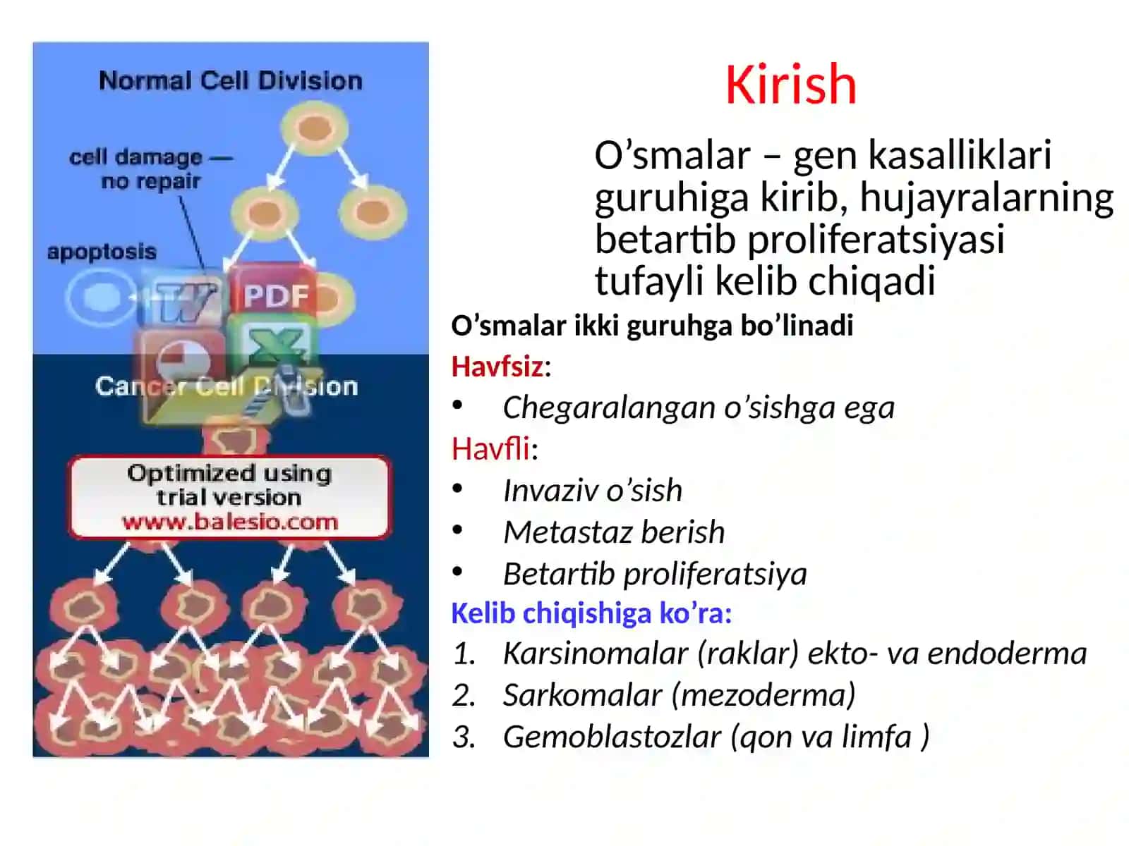 ONKOGENEZ BIOKIMYOSI 2