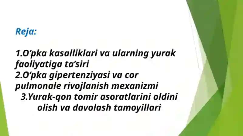 O‘pka kasalliklari va ularning yurak faoliyatiga ta’siri 2