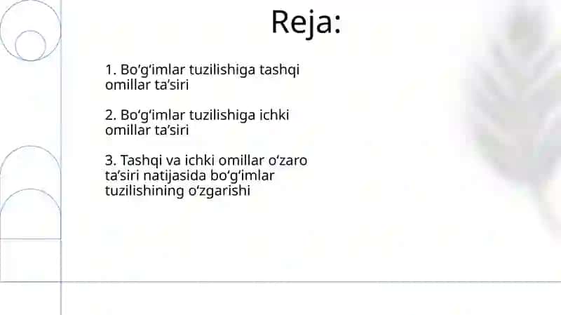 Suyak zichligi 2