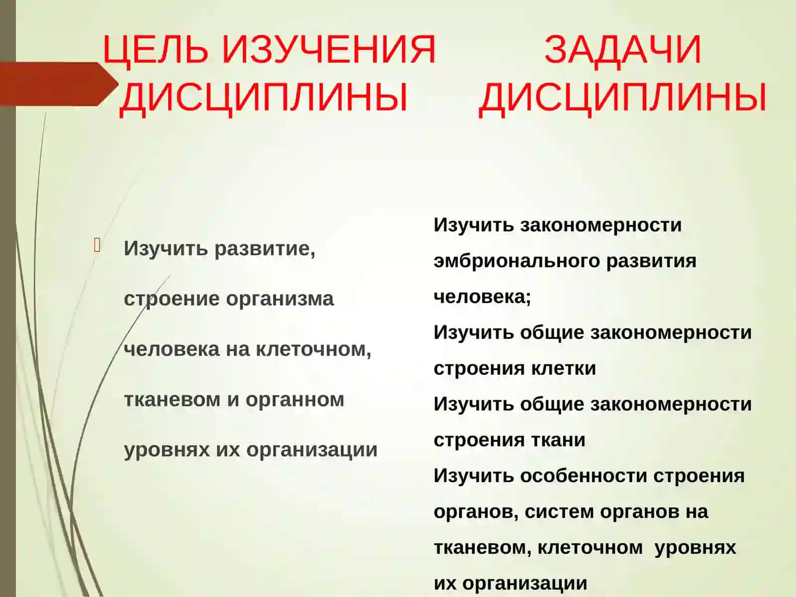 Введение в предмет ГИСТОЛОГИИ 2