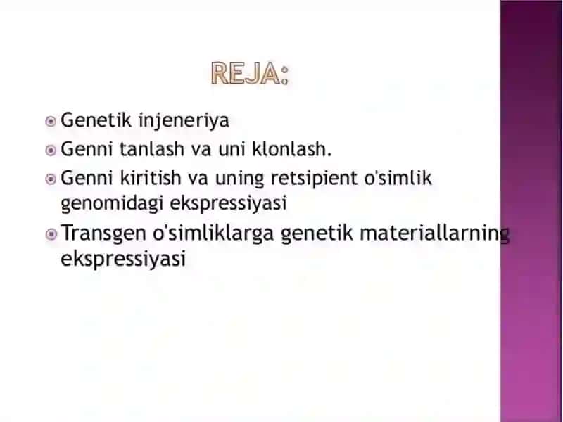 O‘simlik hujayrasi 2