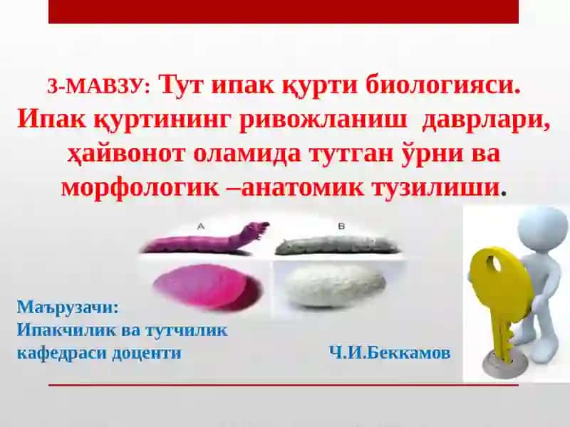 Ипакчилик ва тутчилик 2