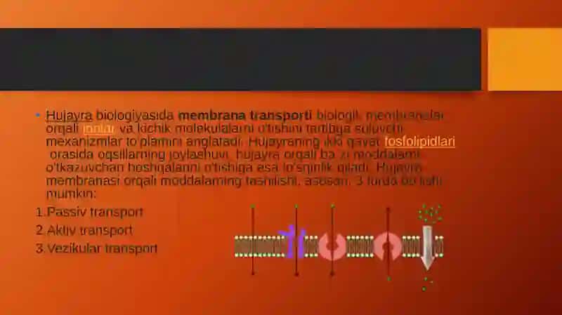 Hujayradagi transport jarayonlari 2