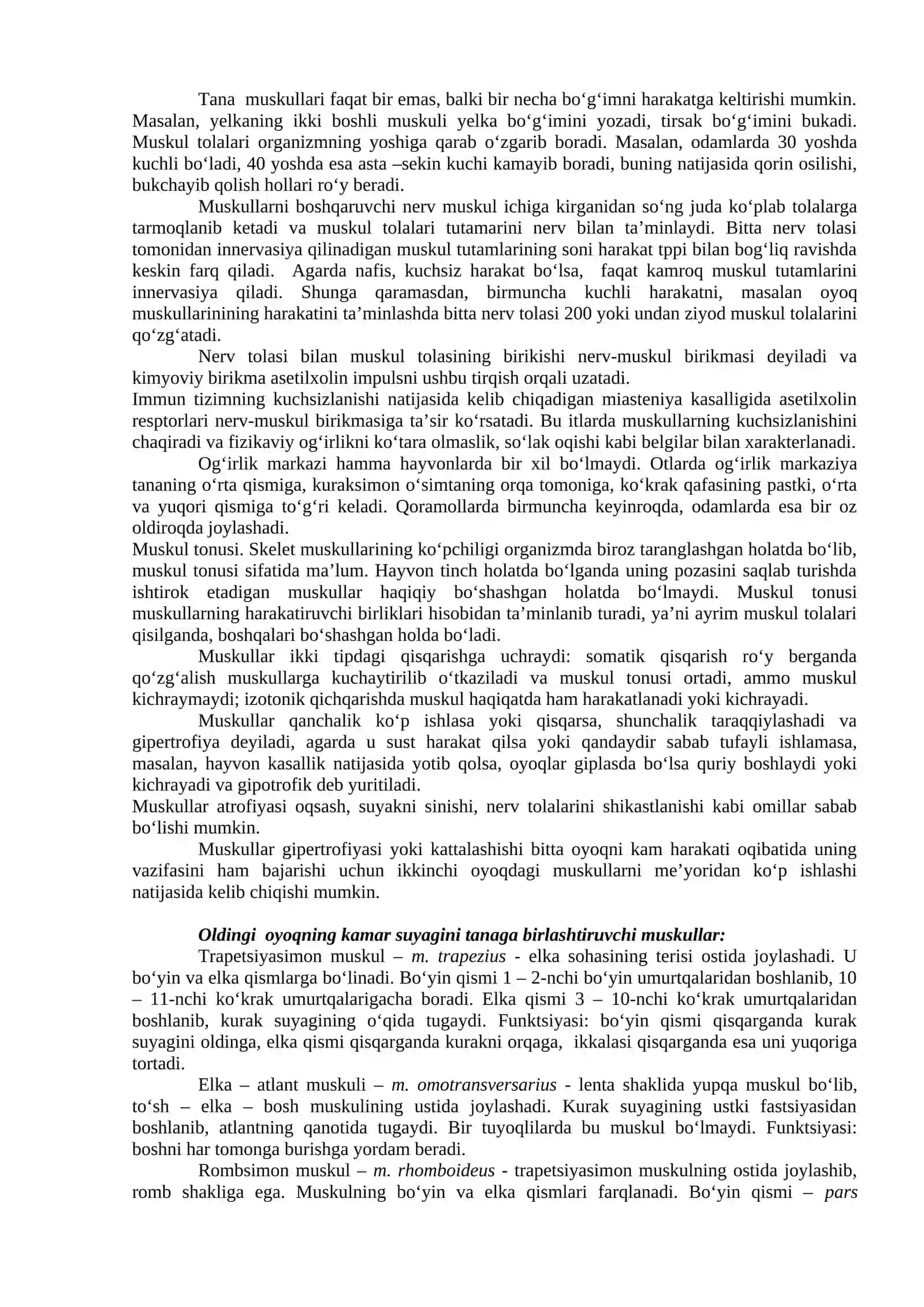 Gavda muskullarining tuzilishi 2