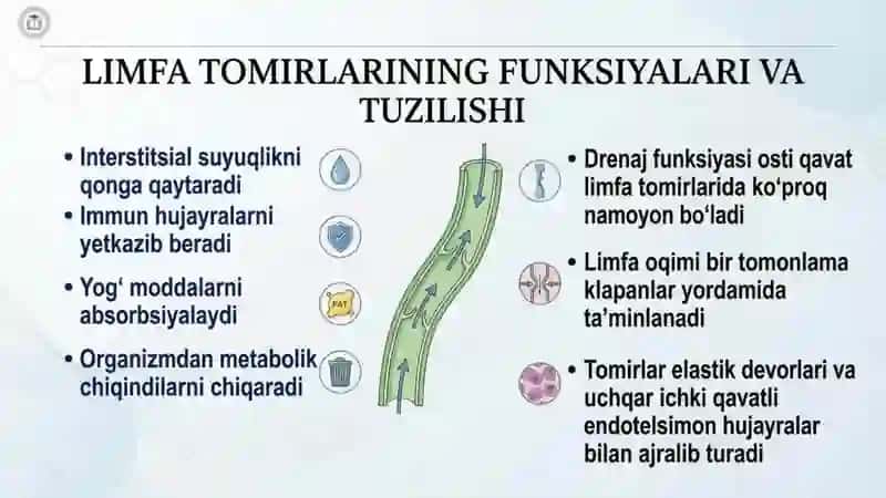 Limfa tomirlar patalogiyasi 2