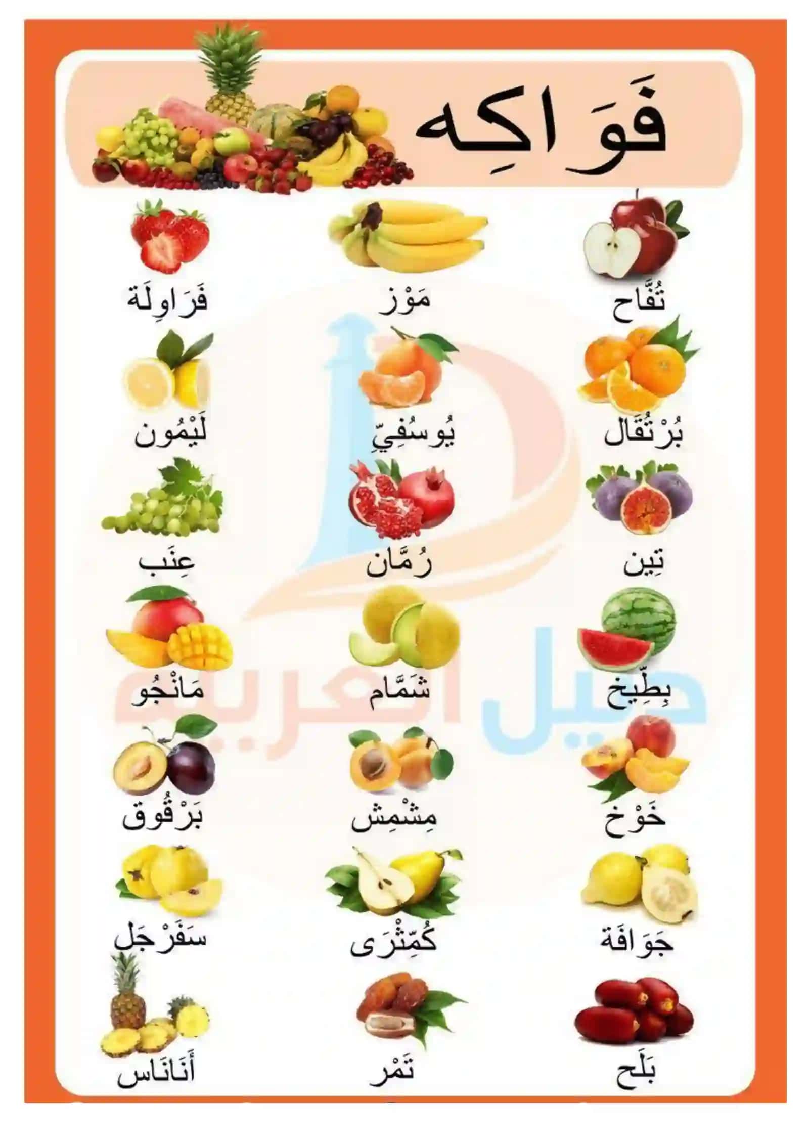 KITOB Arab tilida boshlang'ich sinflar uchun lugat kitobi 2