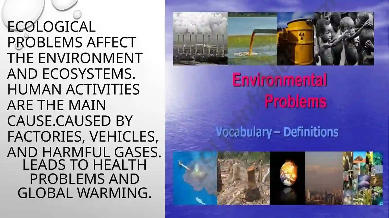 Ecological Problems 2