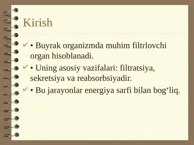 Buyrakni energiya bilan taʼminlanishi 2