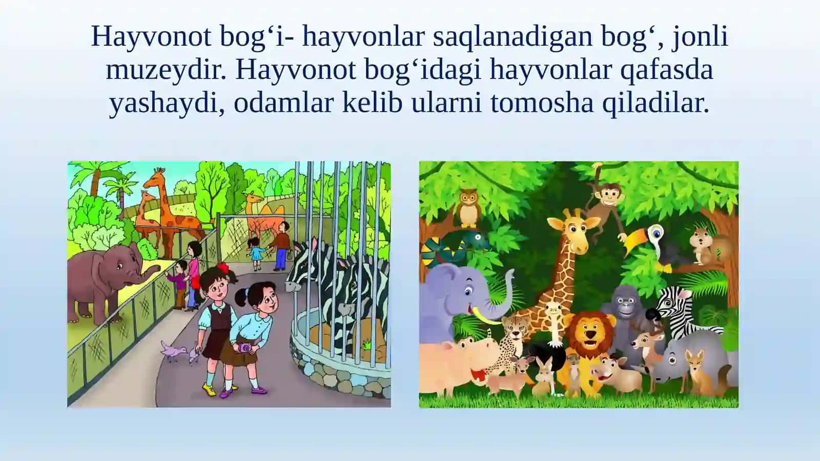 Hayvonot bog‘i nima? 2