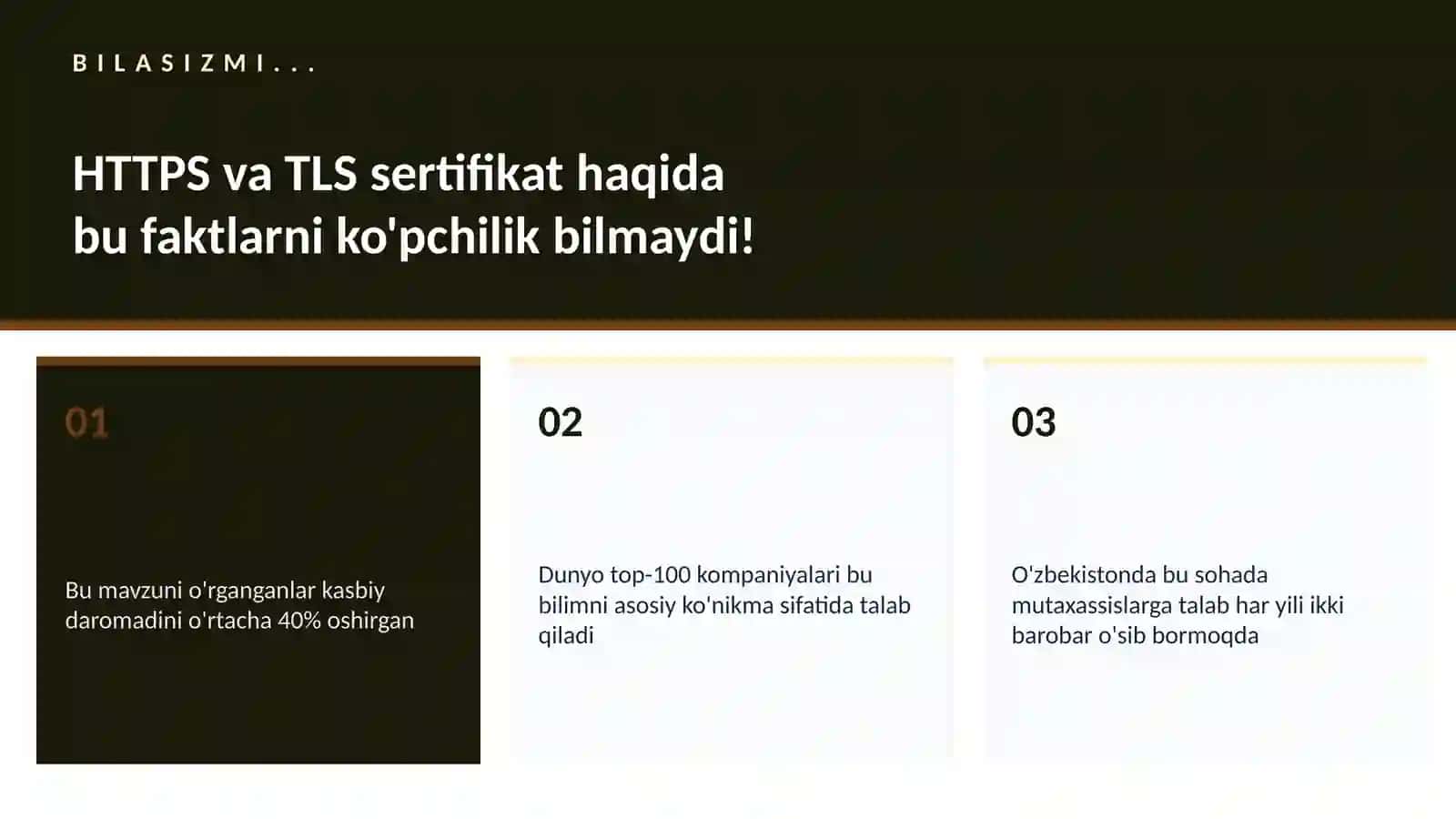 HTTPS va TLS sertifikat 2
