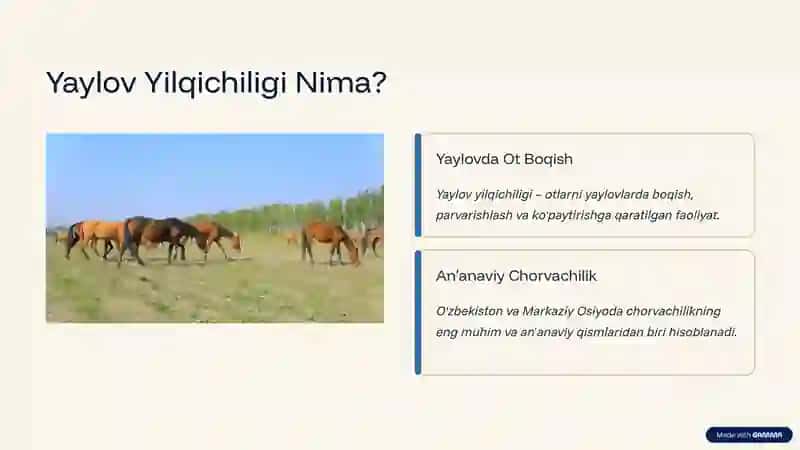 Yaylov Yilqichiligi Haqida Tushuncha 2