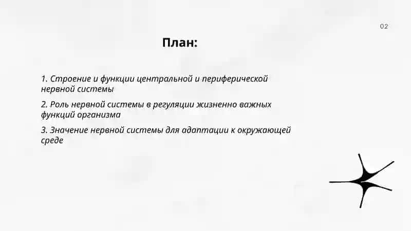 Значение нервной системы и гигиены 2