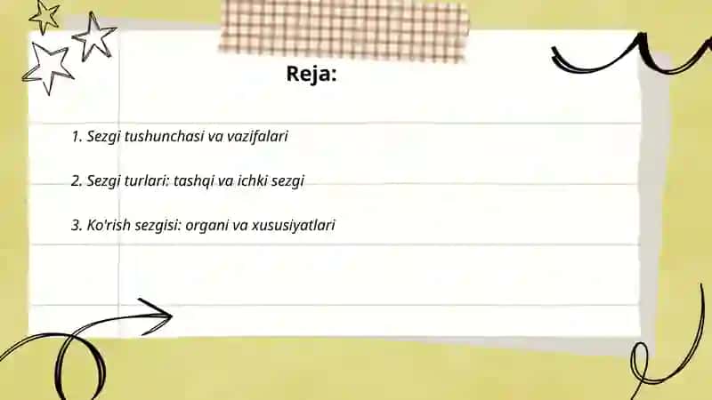 Sezgi uning turlari va xususiyatlari 2