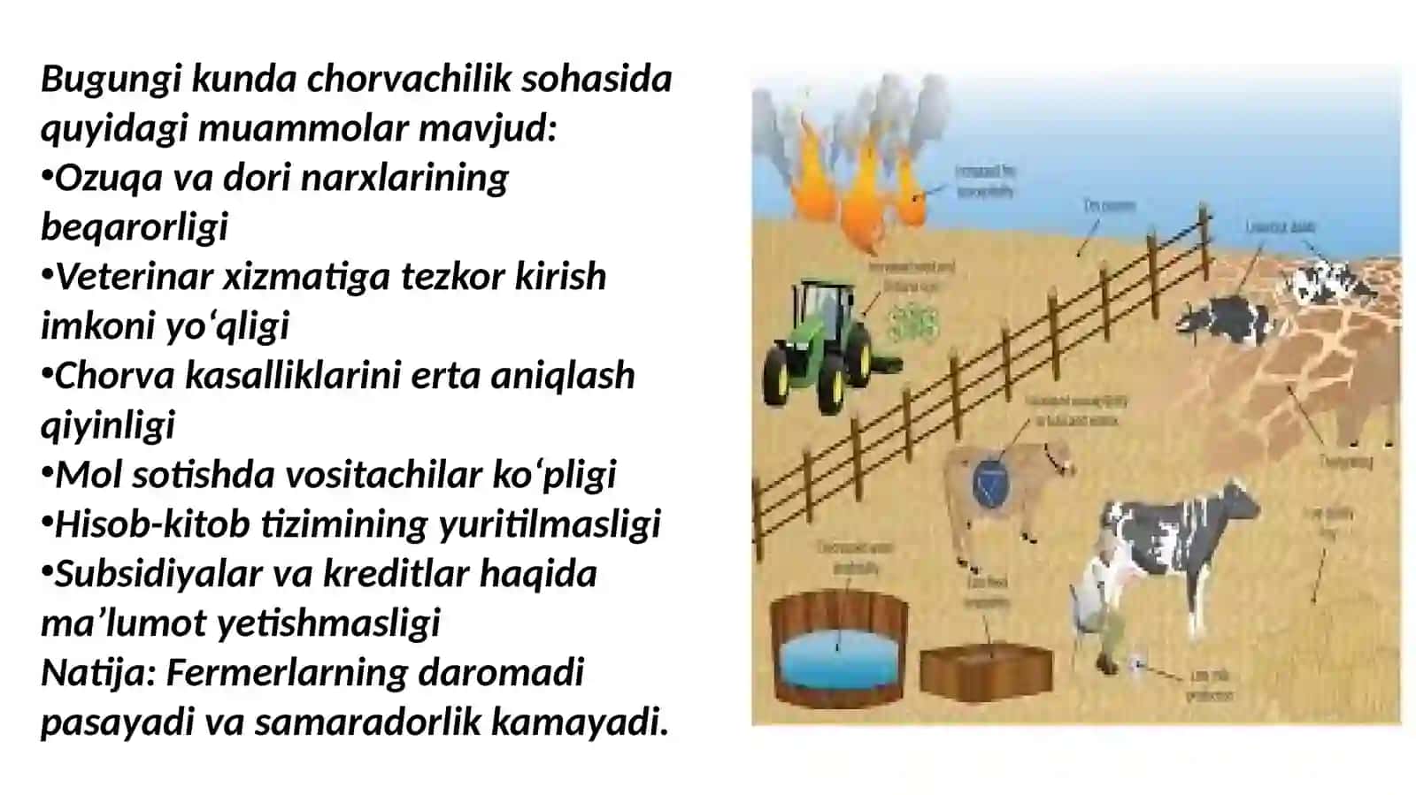 RAQAMLI CHORVACHILIK PLATFORMASI 2