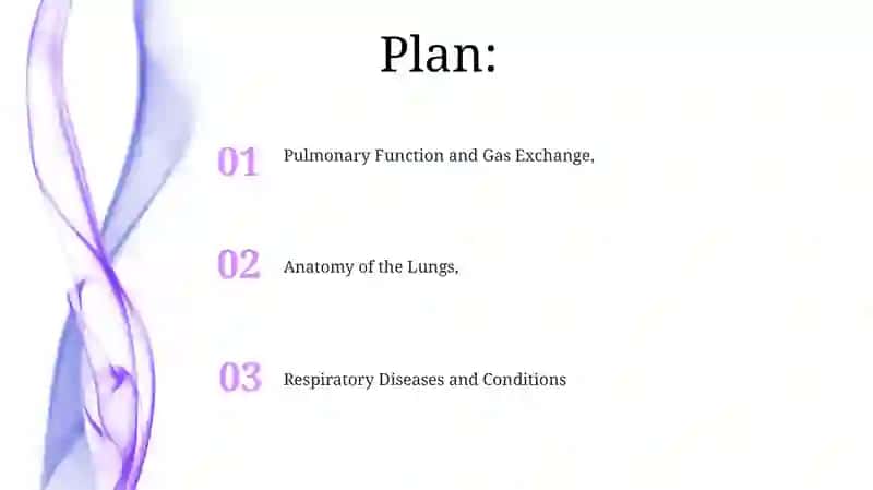 Lungs and a pulmonary system 2