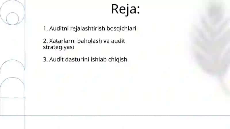 Auditorlik tekshiruvini rejalashtirish 2