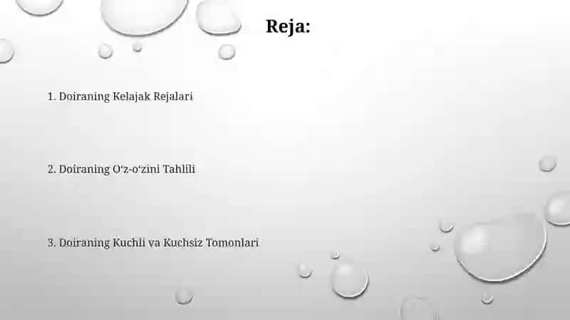 Doiraning Kelajak Rejalari 2