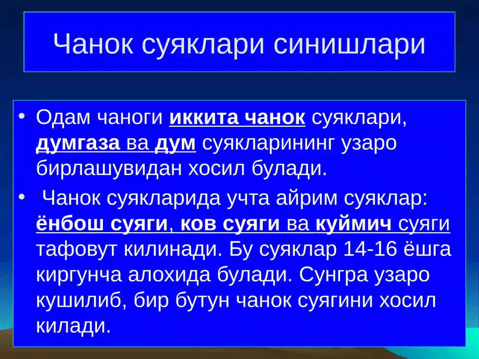 Чанок суяклари ва умуртка погонаси синишлари 2