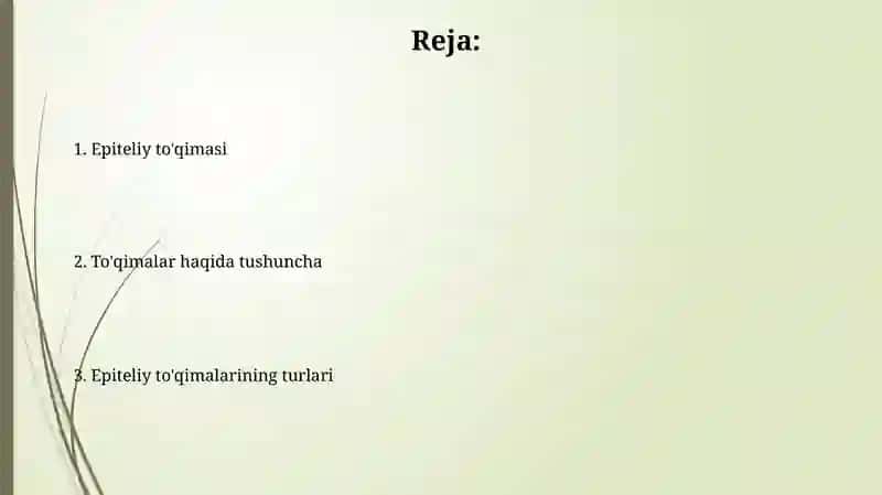 Epiteliy to'qimasi 2