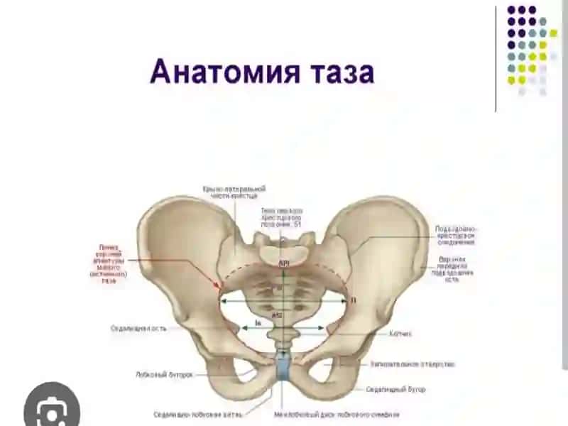 Ayollardachanoqo'lchamlari 2