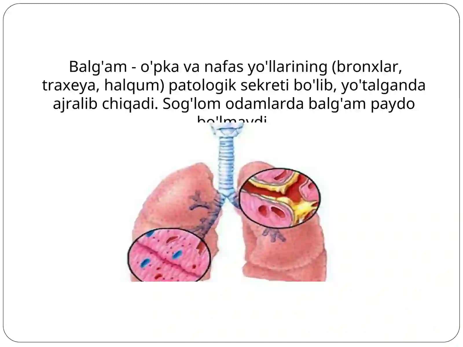 Balғam labоrator tаhliylаri 2