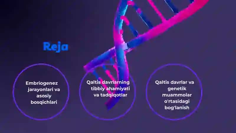 Odamlar embrilogiyasining qaltis davrlari 2