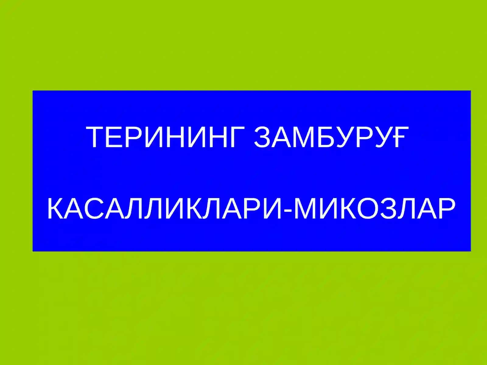 Терининг тузилиши, морфологик элементлари 2