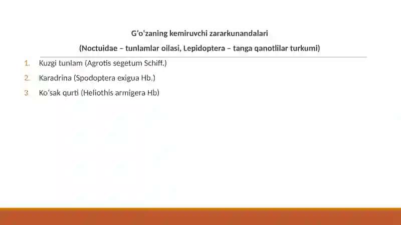 G‘o‘zaning asosiy zararkunandalari 2