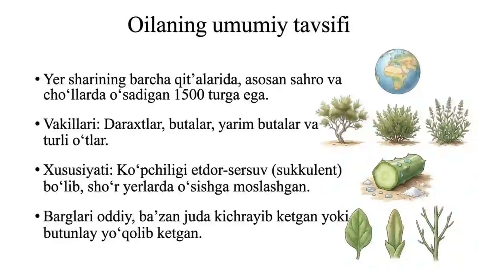 Sho'radoshlar oilasi 2