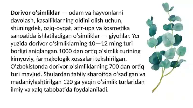 Dorivor o‘simliklar 2