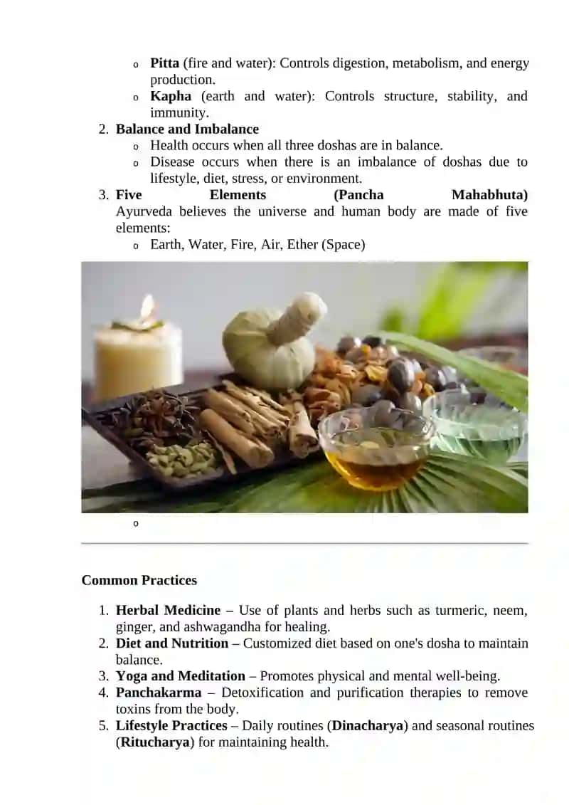 Traditional Indian Medicine – Ayurveda 2