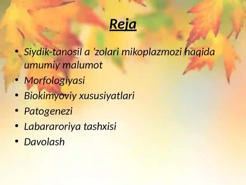 Siydik tanosil a’zolarining nospetsifik infeksion qo’zg’atuvchilari. 2