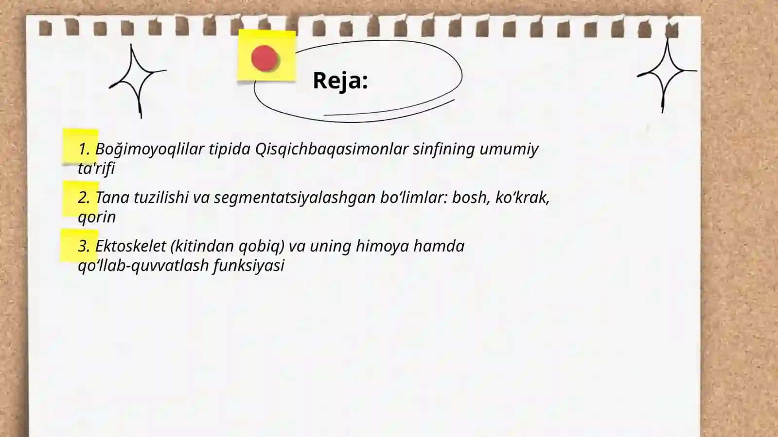 Boğimoyoqlilar tipi 2