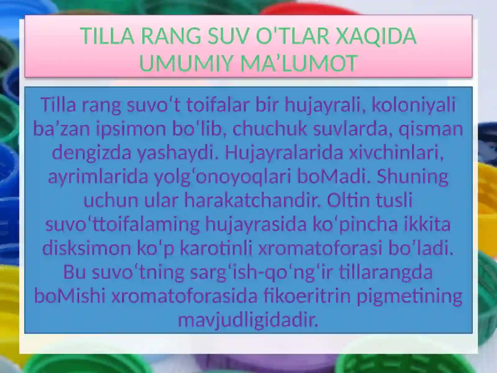 TILLA RANG SUV O'TLAR 2
