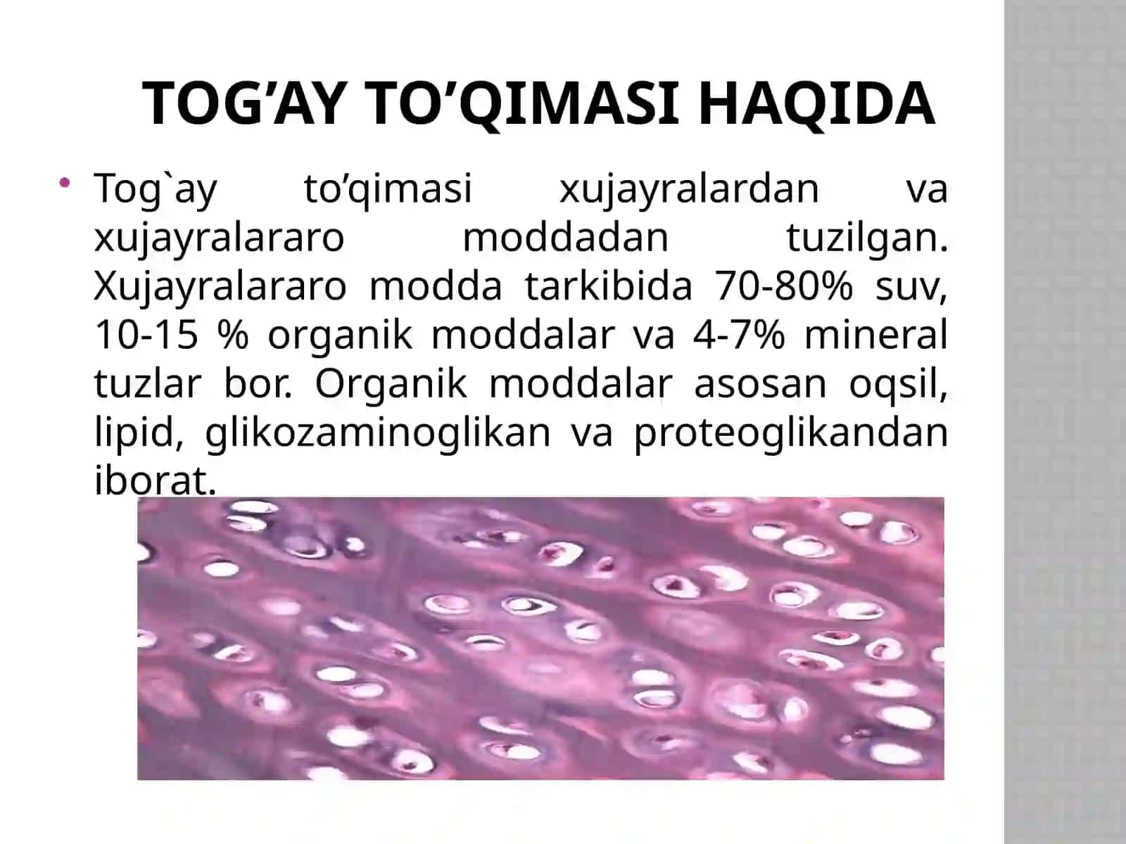 Tog’ay to’qimasi haqida 2