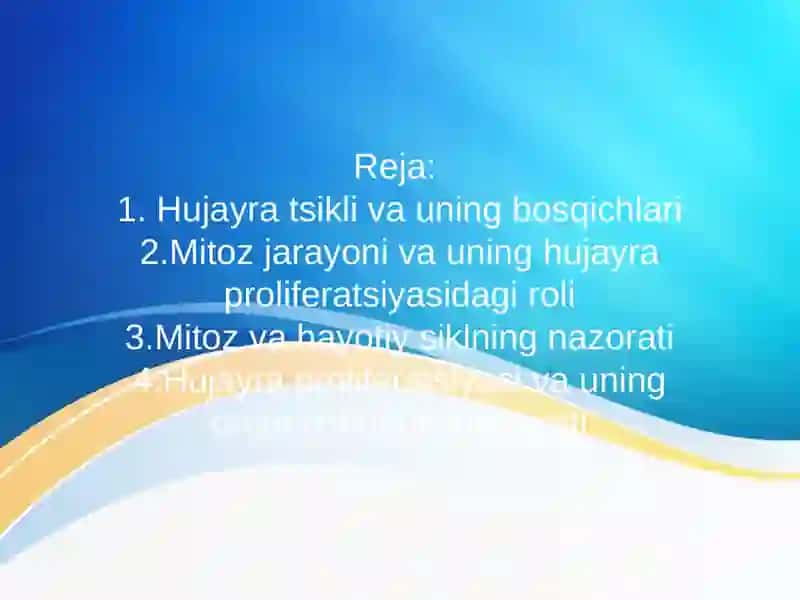 Hujayra sikli (Hujayra Hayotiy Sikli) 2