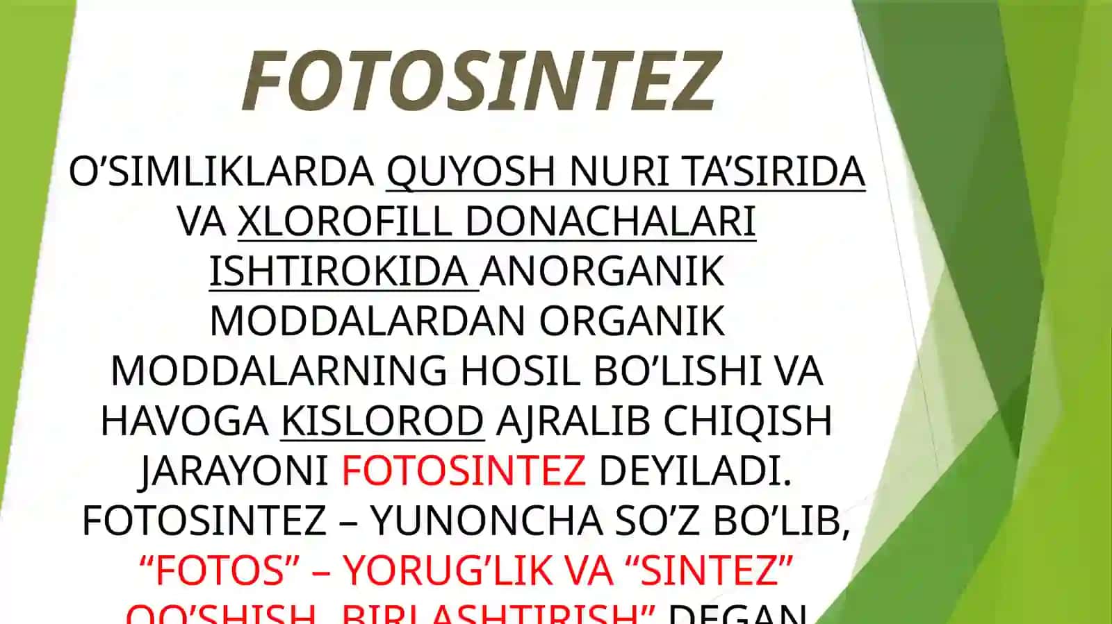 FOTOSINTEZ 2