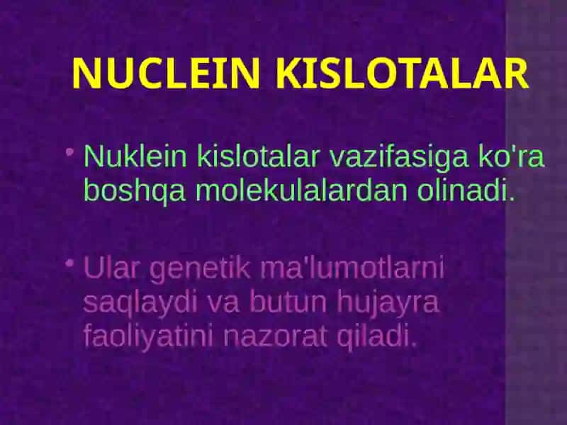 Nuklein kislotalar 2