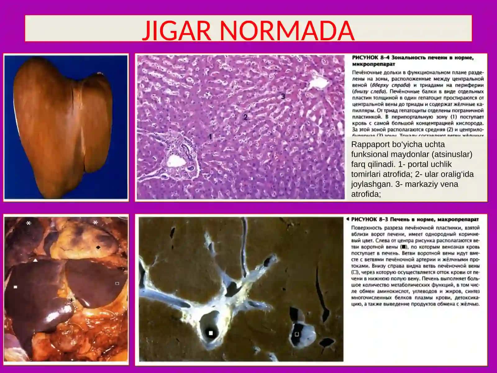 PATOLOGIK ANATOMIYAFANI 2