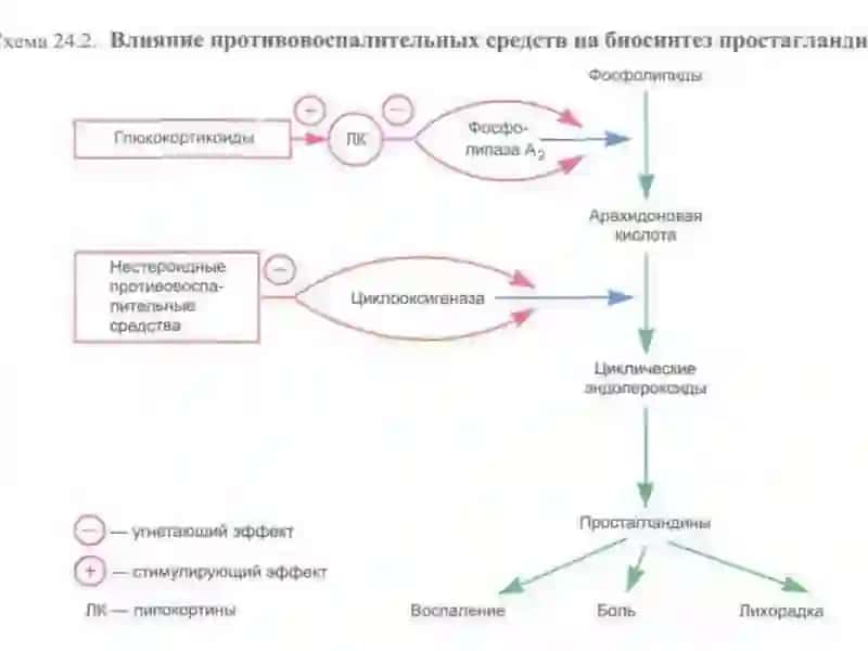 Яллигланишгакаршивоситалар 2